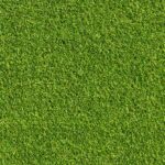 Transform Your Outdoor Spaces with Ecograss Middle East’s Professional Services